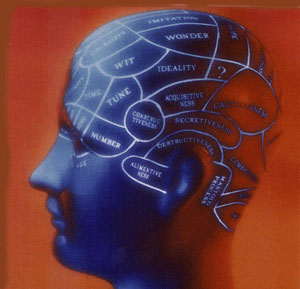 Braindiagram