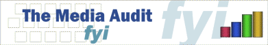 Media_audit