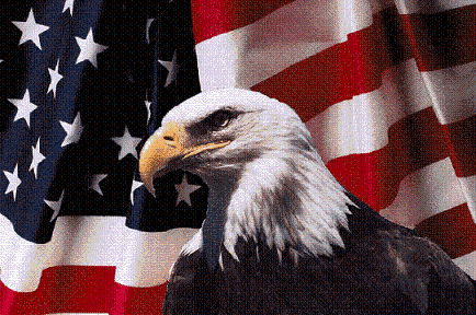 Memorial_day_flag_with_eagle