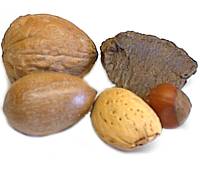 Nuts_2