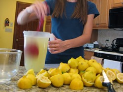 Making_lemonade_250