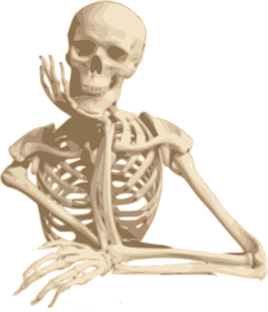 skeleton