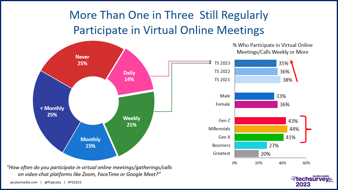 ts 23 virtual meetings