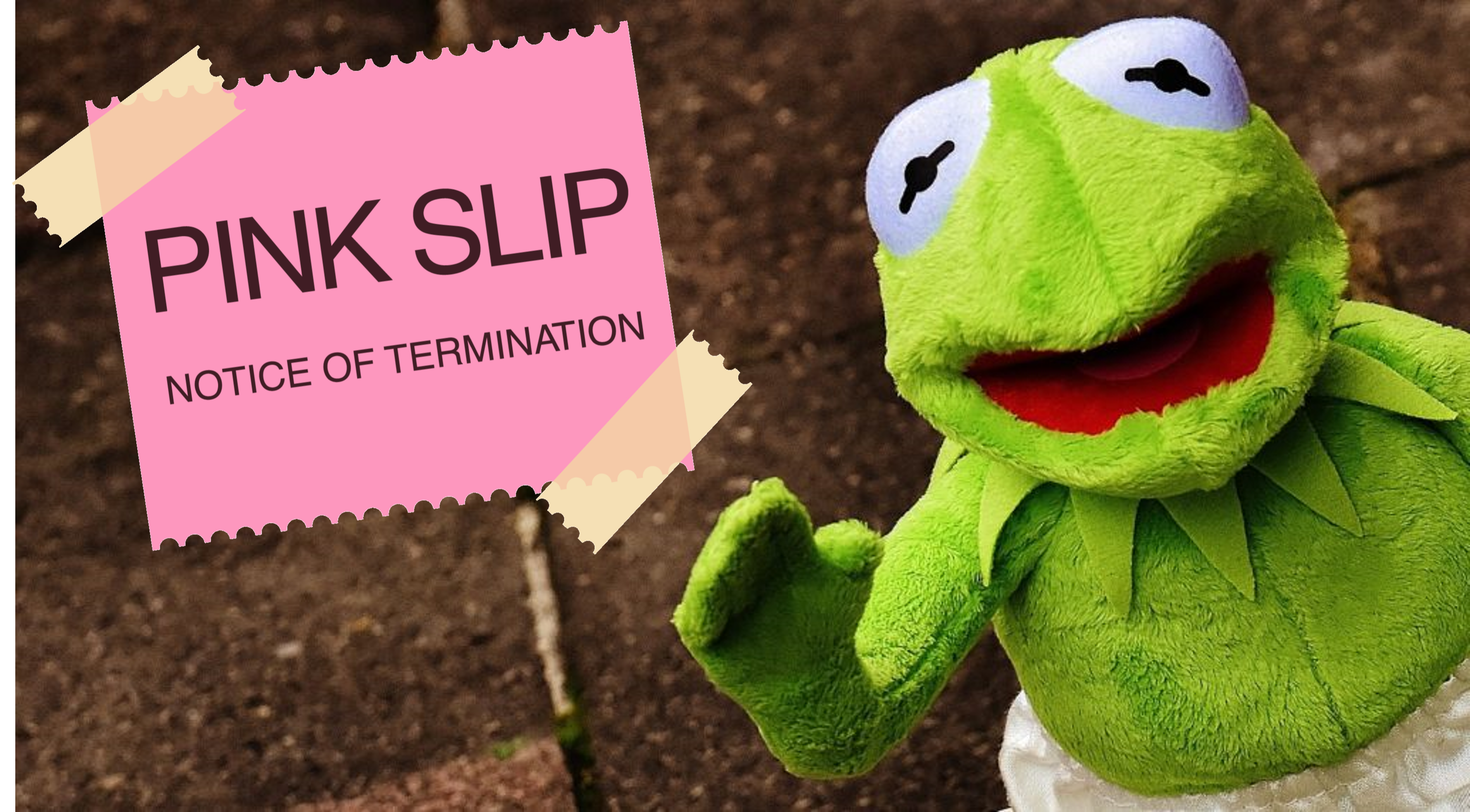 Kermit Pink Slip 1