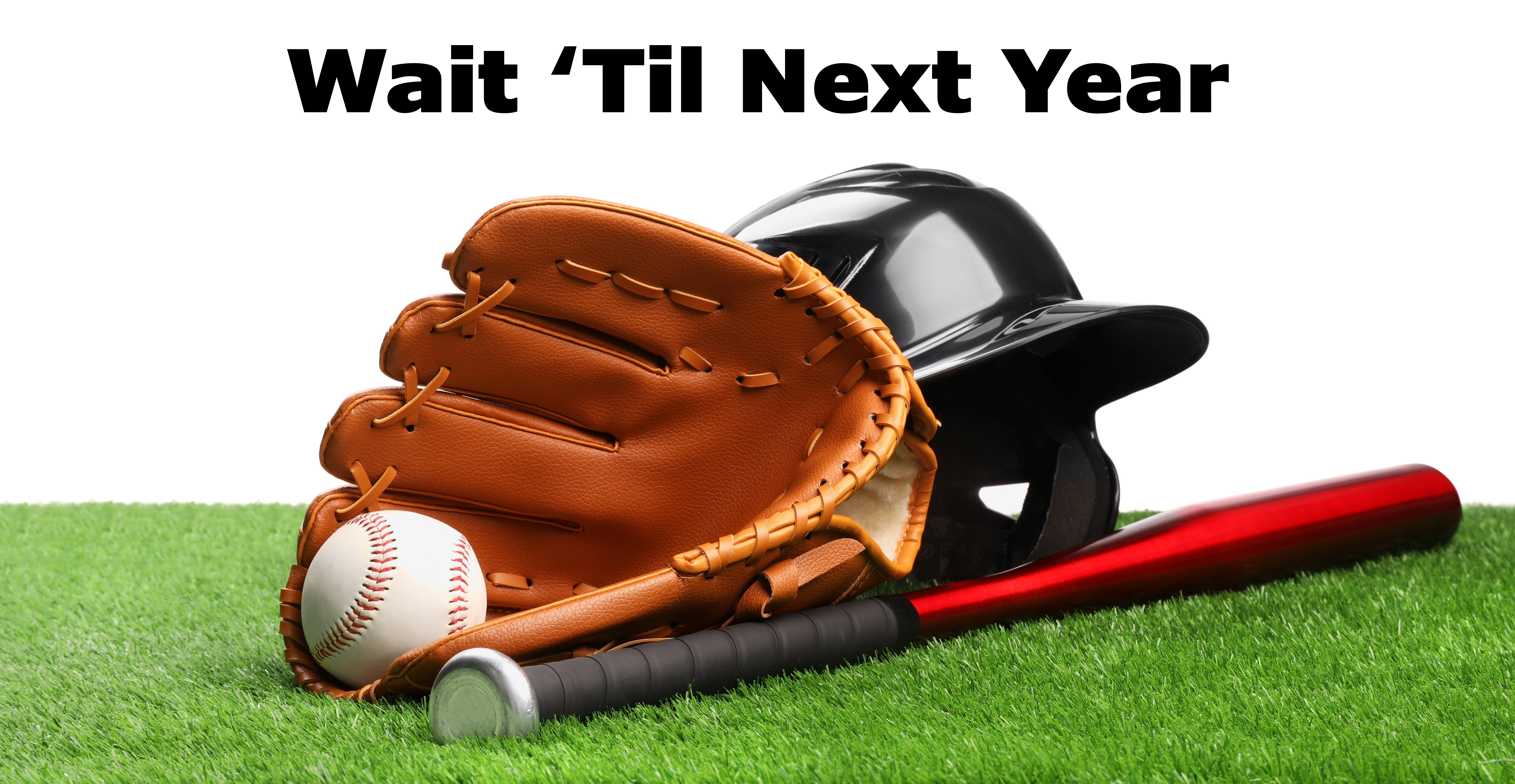 Baseball Wait Til Next Year