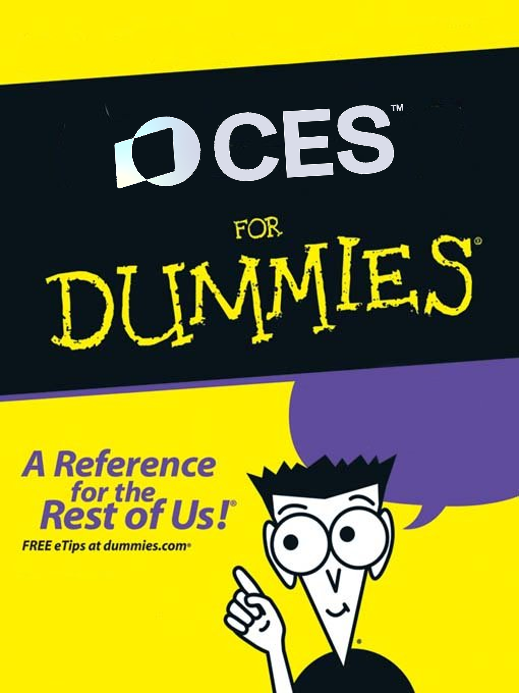 ces for dummies.jpg